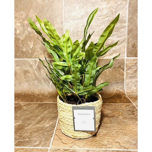 Threshold 12" Faux Fern Artificial Plant with Rattan Pot Basket - New - Picture 3 of 7